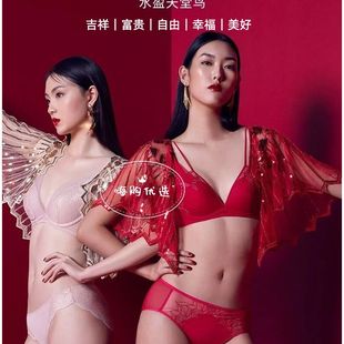 小胸聚拢显大无钢圈水盈天堂鸟蕾丝聚拢女文胸 1951 黛 D11