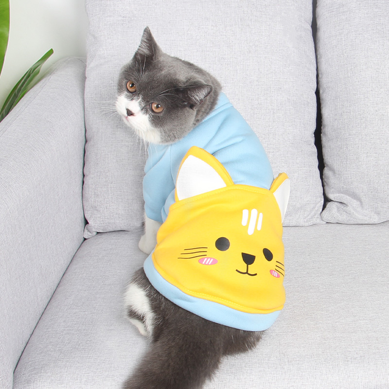 萌宠配萌装可爱萌趣舒适保暖