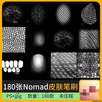 180款nomad皮肤图章笔刷素材人体动物野兽皮肤皮毛手指甲笔刷新款