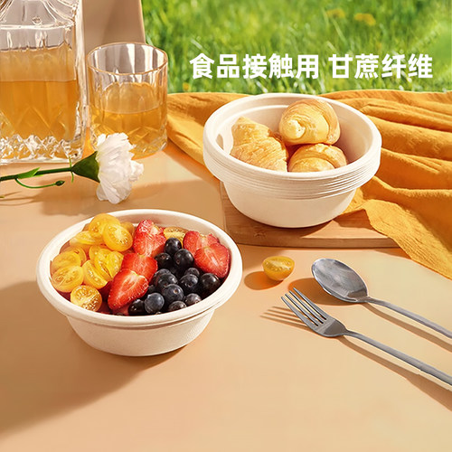 特美居一次性碗筷环保餐具