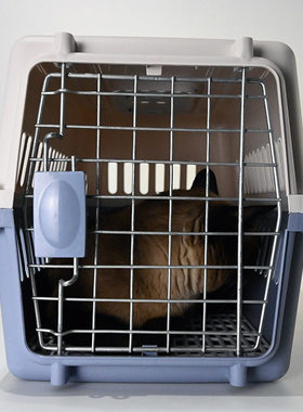 猫狗笼子航空箱托运箱便携车载猫咪专用宠物外出手提塑料箱子狗笼