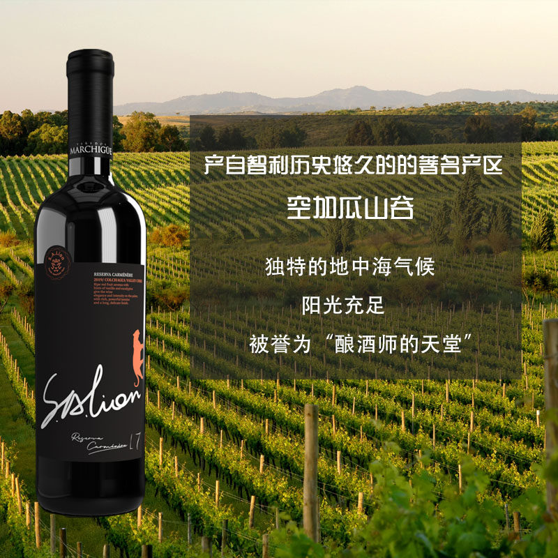 智利原瓶进口南美雄狮l7珍藏佳美娜干红葡萄酒750ml