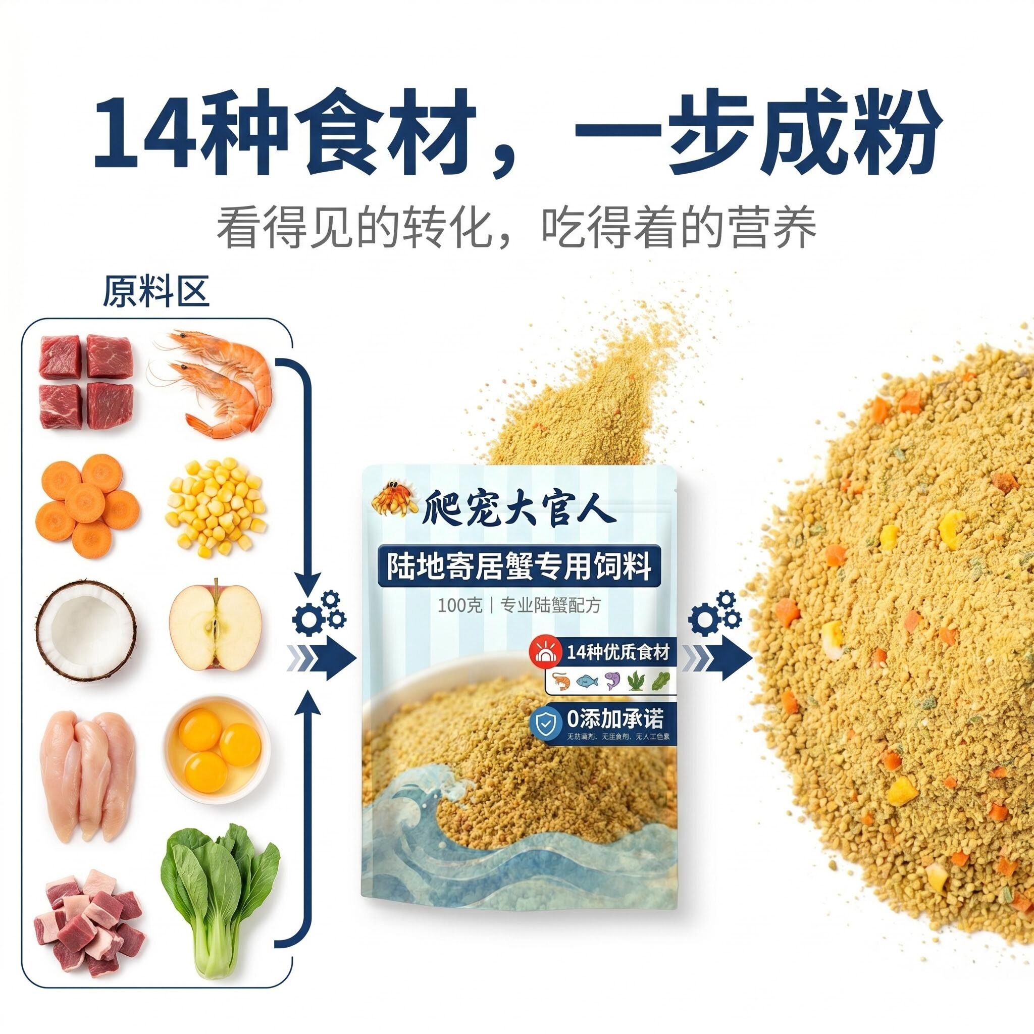 寄居蟹专用粮观赏蟹饲料全龄通用营养主食搭配套餐易吸收好喂食