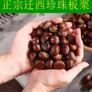 迁西板栗生新鲜2025新鲜小板栗粟子生新鲜板栗生板栗燕山油栗新货