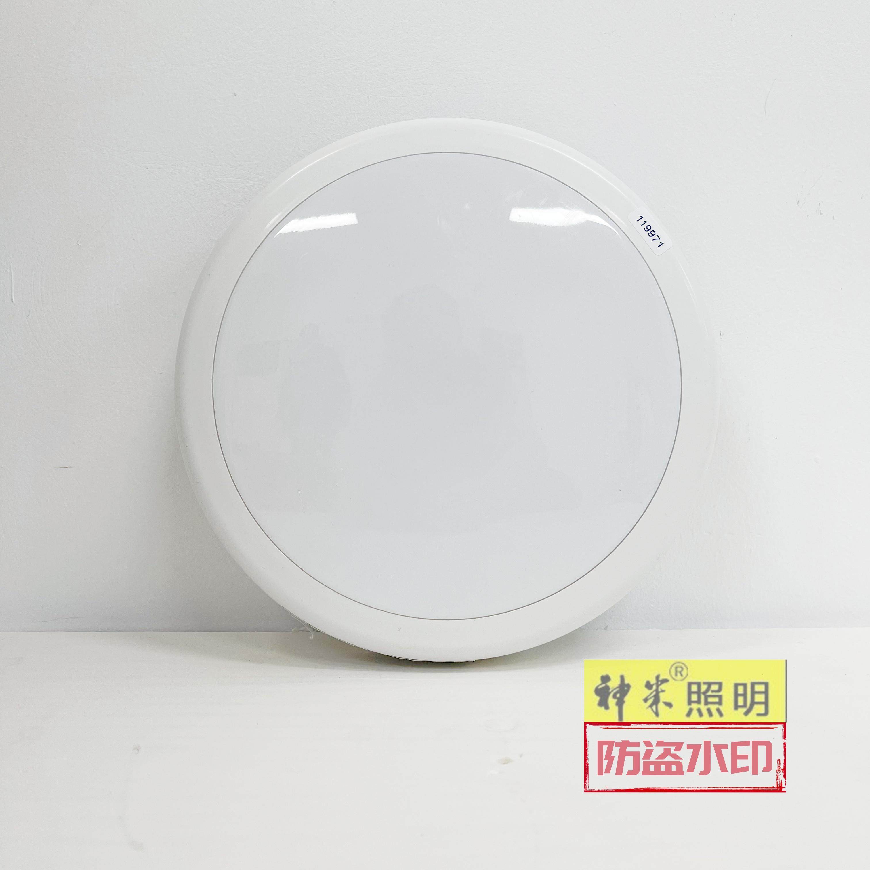 施诺德36v集中电源消防应急照明吸顶灯智能疏散集中控制照明灯具