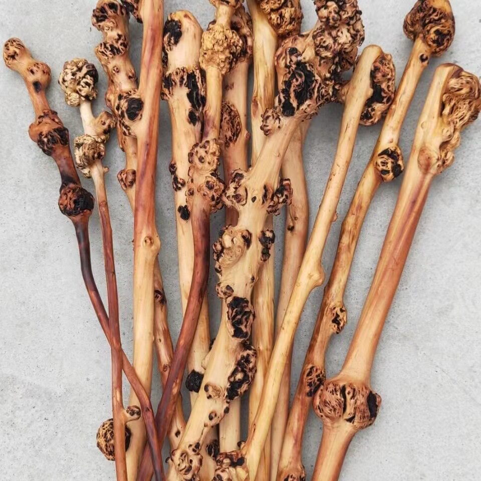 山茶木锤子 树瘤木锤敲打背部经络穴位健身锤 把玩木锤