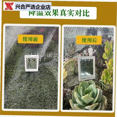 6针黑色多e肉绿植蔬菜花卉大棚遮阳网防晒网庭院阳台盆栽遮阴户,