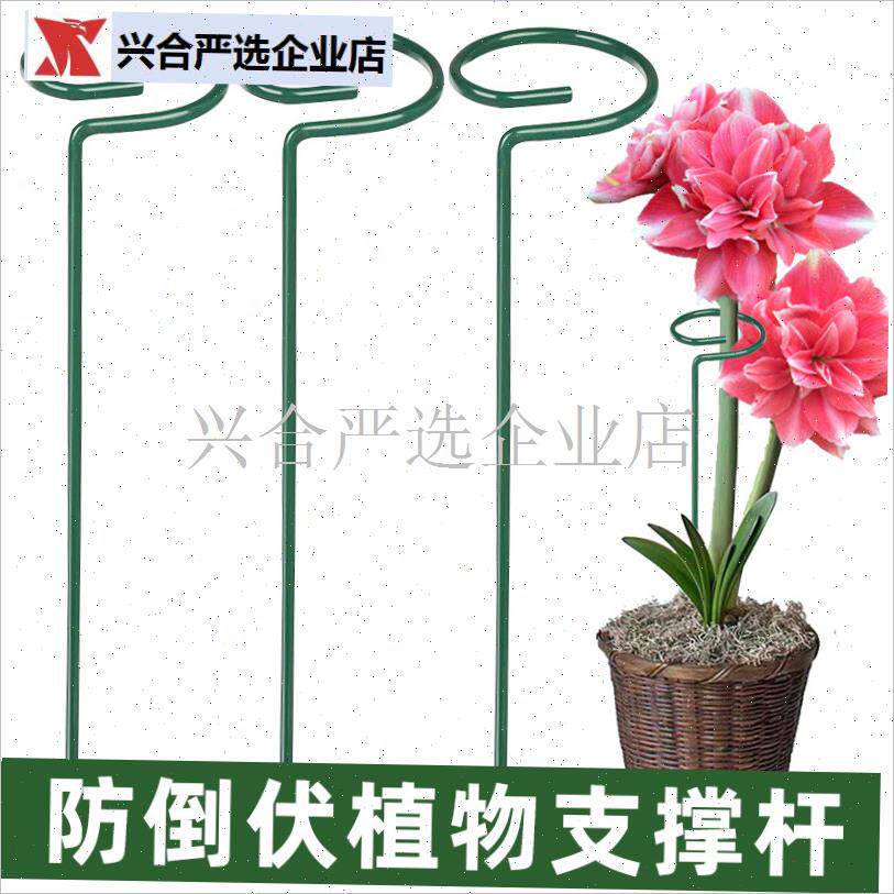 植物防倒伏支架铁艺绣球吊兰支撑杆园艺固定架爬藤花.卉朱顶红花,