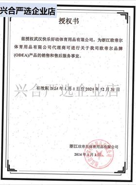 ODEA网球Passion Tour罐装高弹N耐打耐磨专业比赛训练4粒,