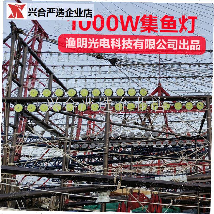 渔明牌1000W大功率led聚鱼集鱼D灯船用捕鱼灯渔船防水海钓鱿鱼灯,