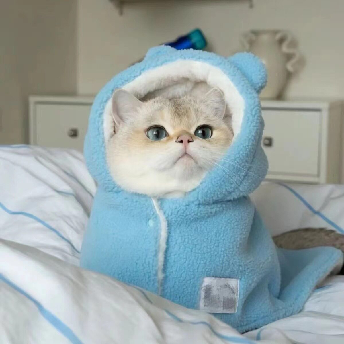 猫咪毛绒睡衣斗篷衣服浴袍秋冬季加厚保暖睡觉小垫棉服抗风遛弯服