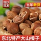 东北山榛子铁岭特产特大榛子新炒货原味开口新鲜干果精品休闲坚果