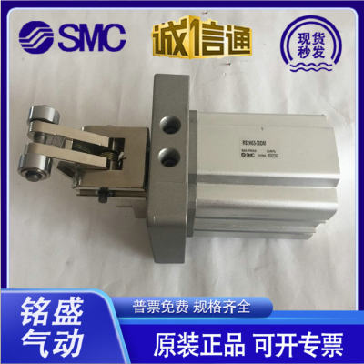 SMC阻挡器气缸RS2H50/63/80-30BM-D-40DL-BL-DM-TL-TM-DC止动气缸