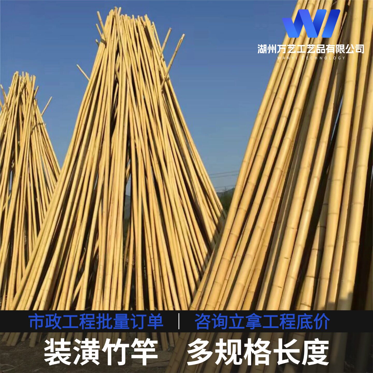竹竿装饰棍旗杆吊顶竹排栅栏竹子围栏防腐毛竹楠竹白竹细竹子竹竿