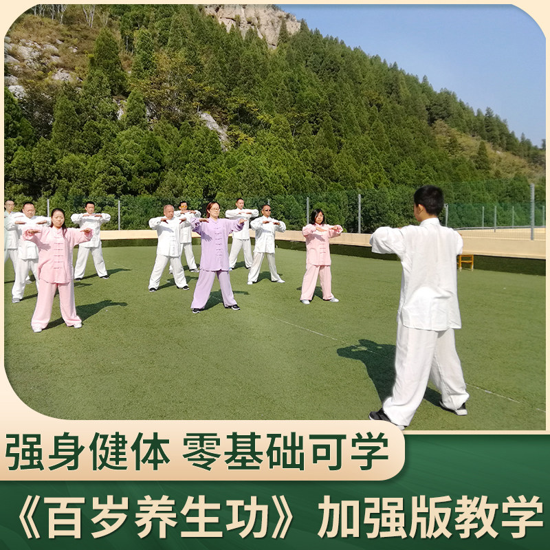 百岁养生功动功加强版 古武导引术大周天导引术 传统武术内家拳
