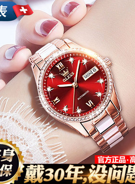 新年礼物送女友瑞士正品女式机械表手表女士品牌名表新款小众防水