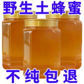 纯天然蜂蜜纯正天然土蜂蜜纯正野生蜂巢蜜蜂糖蜜土蜂蜜糖