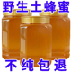 纯天然蜂蜜纯正天然土蜂蜜纯正野生蜂巢蜜蜂糖蜜土蜂蜜糖