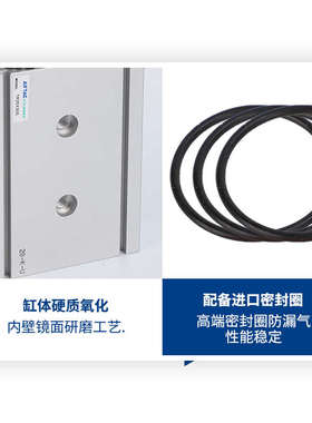 双杆气缸TR 10/16/20/25/32X10S/20S/30S/40S/50S/75S/10