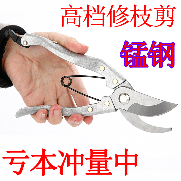 修枝剪 树枝剪刀枝剪修剪花艺园艺剪葡萄家用火龙果专用果树工具