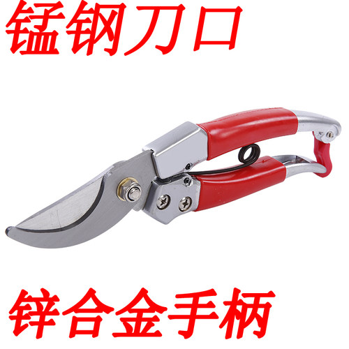 修枝剪 树枝剪刀园艺剪粗枝剪刀园林剪果树剪修花花艺果枝剪葡萄