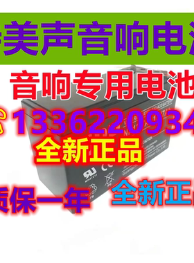 特美声音响有源音箱专用电瓶