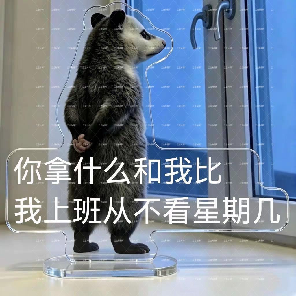 小红书爆款负鼠表情包亚克力立牌创意搞怪造型摆件学生送朋友