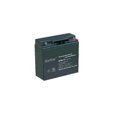 雷斯顿蓄电池12V17AH免