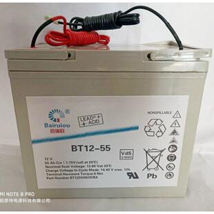 BT12-55 耐腐蚀型电瓶 通存通取网控系统应急电