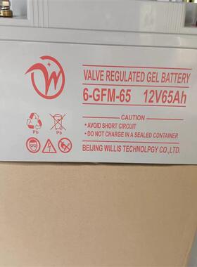 6-GFM-65 大电流小内阻电瓶 机房配电室UPS配套电