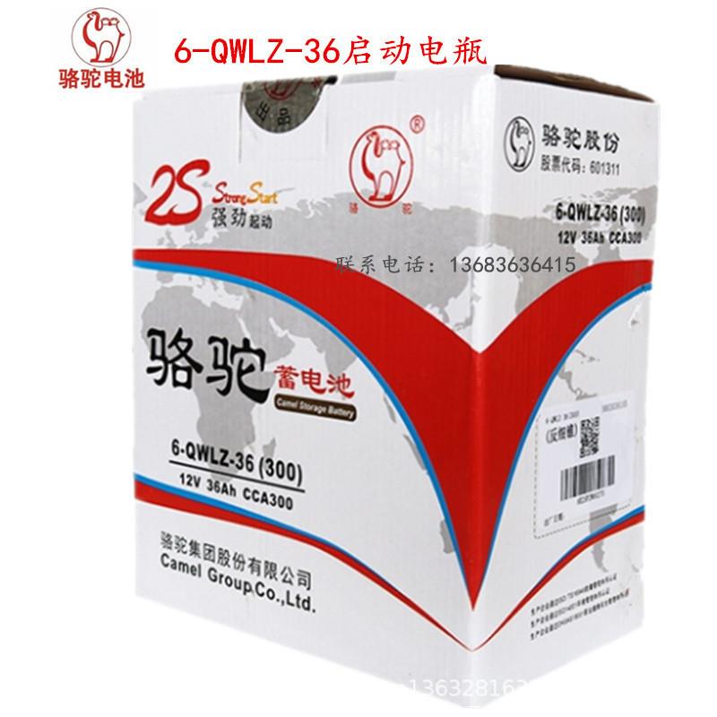 CAMEL蓄电池6-QWLZ-36MF电瓶12V36AH电池 12V电池 北京
