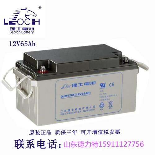 12V65AH理士UPS直流屏蓄电池DJM1265S备用电源蓄电池