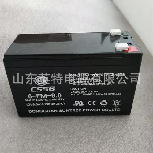 CSSB蓄电池6-FM-9.0沈松
