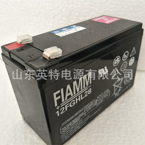 非凡FIAMM蓄电池12FGHL28