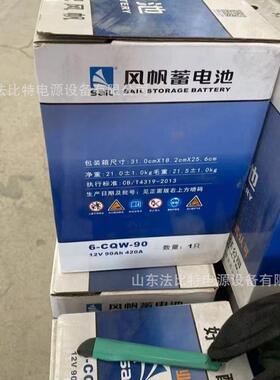 船舶蓄电池6-CQW-90启动型12V90Ah船用启动电池 带船检