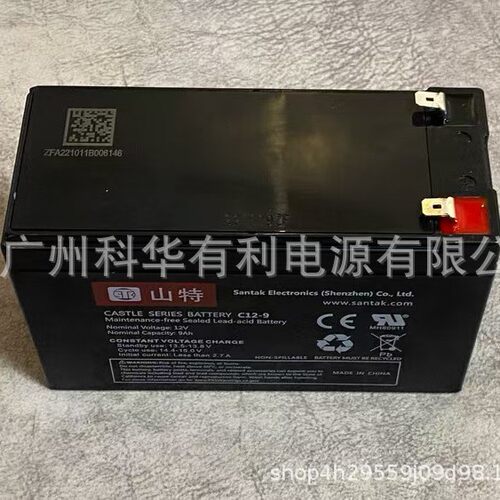 原装山特蓄电池C12-9消防