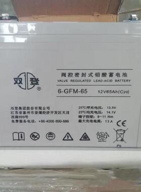 6-GFM-65 蓄电池 12v65AH 阀控式密封免维护太阳能蓄电池