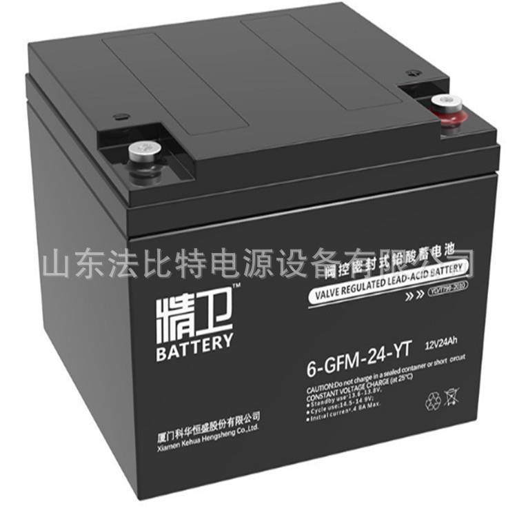 铅酸蓄电池6-GFM-24-YT阀控式12V24Ah质保一年 全系包运
