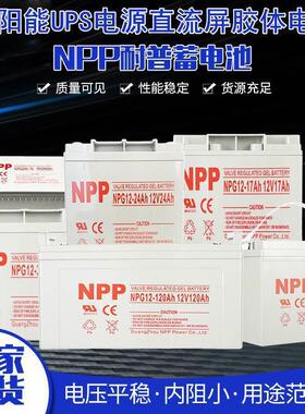 NPP蓄电池12伏NPG12V65A24a38ah17a100ah200安太阳能胶体电瓶