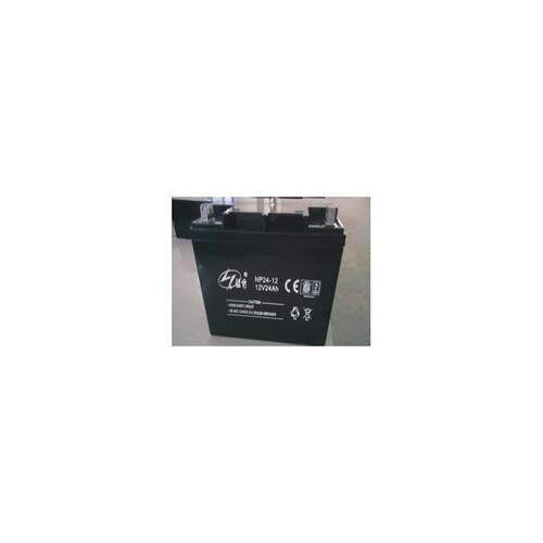蓝肯蓄电池NP24-12铅酸免