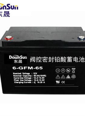 6-GFM-65 绿色环保免维护电瓶 EPS不间断电