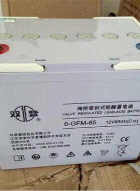 6-GFM-65阀控式铅酸蓄电池12V65AH太阳能直流屏蓄电池