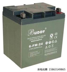 3312V33Ah电池 包邮 美国宝迪BUDDY免维护铅酸电池6