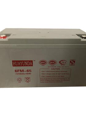 铅酸蓄电池6GFM55 12V55AH质保三年 含税含运