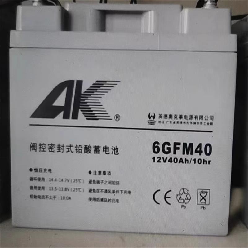 蓄电池6FM40 无自由酸储能电瓶 中小型末端10kv变电站EPS应急电