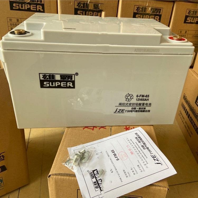 九州雄霸蓄电池6-FM-65 无污染免维护型 基站UPS控制柜应急后备电