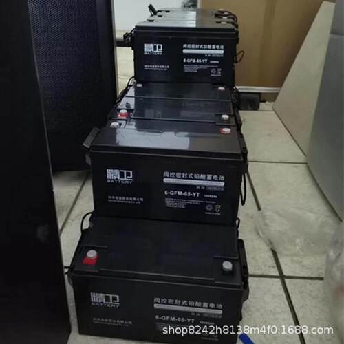 科华UPS不间断电源 精卫蓄电池6-GFM-100-YT 12V100AH 直流屏电池