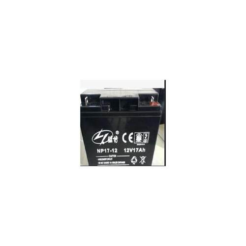 蓝肯蓄电池NP17-12VAH