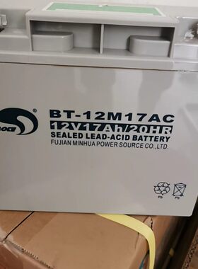 备用电瓶闽华赛特蓄电