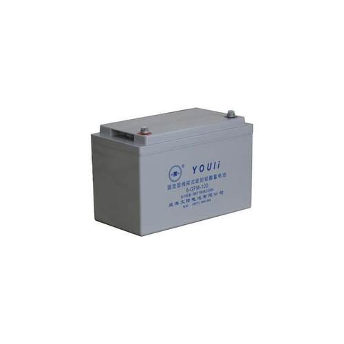 有利蓄电池6GFM100免维护